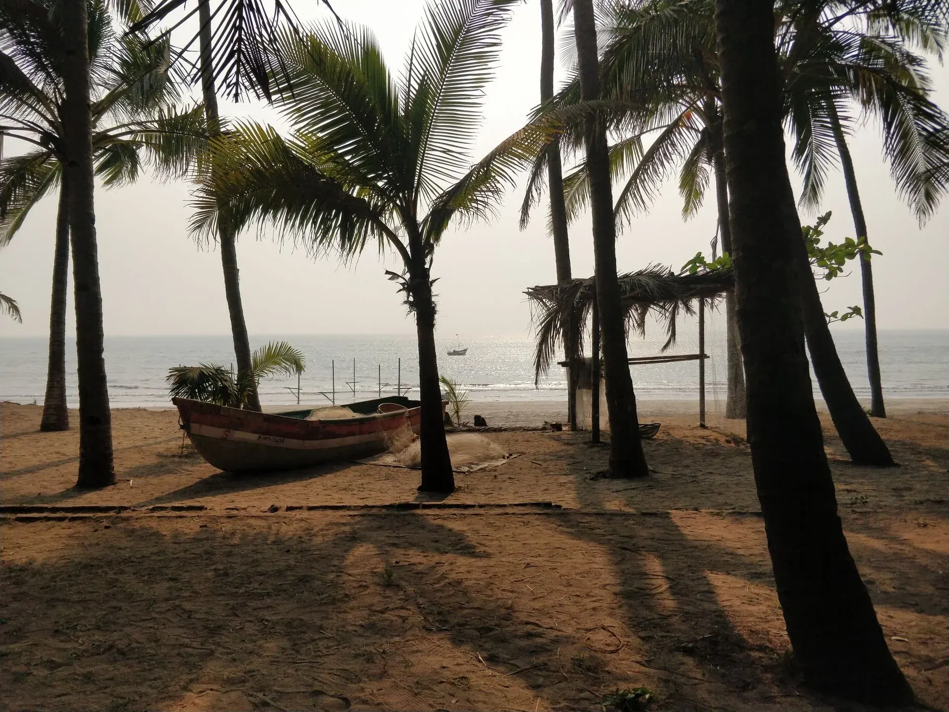 Blog image